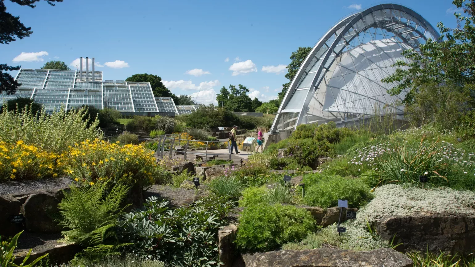 Alpine House viewed from Rock Garden 