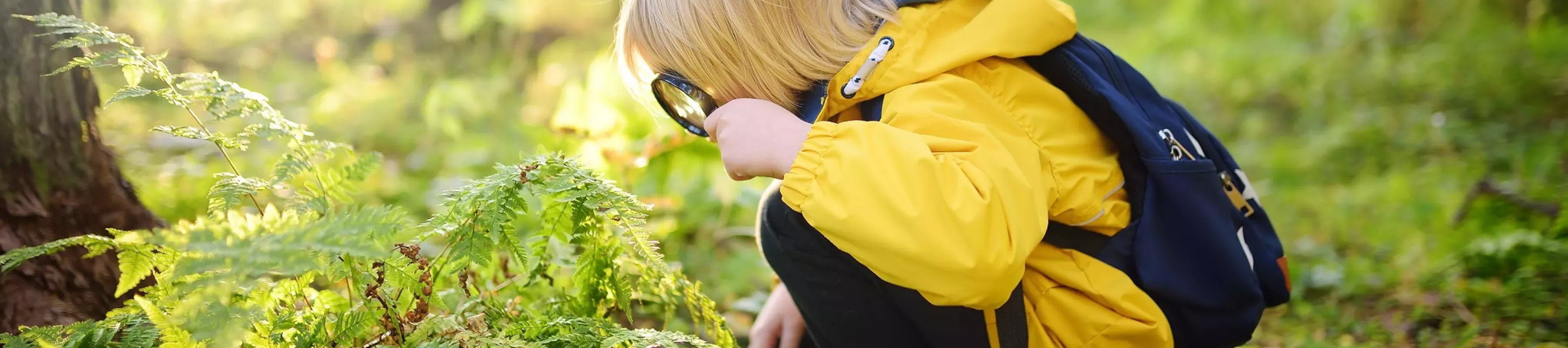 A child in a yellow coat looks at the forest floor with a magnifying glass