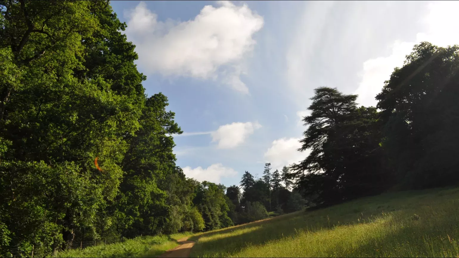 Bloomers Valley, Wakehurst