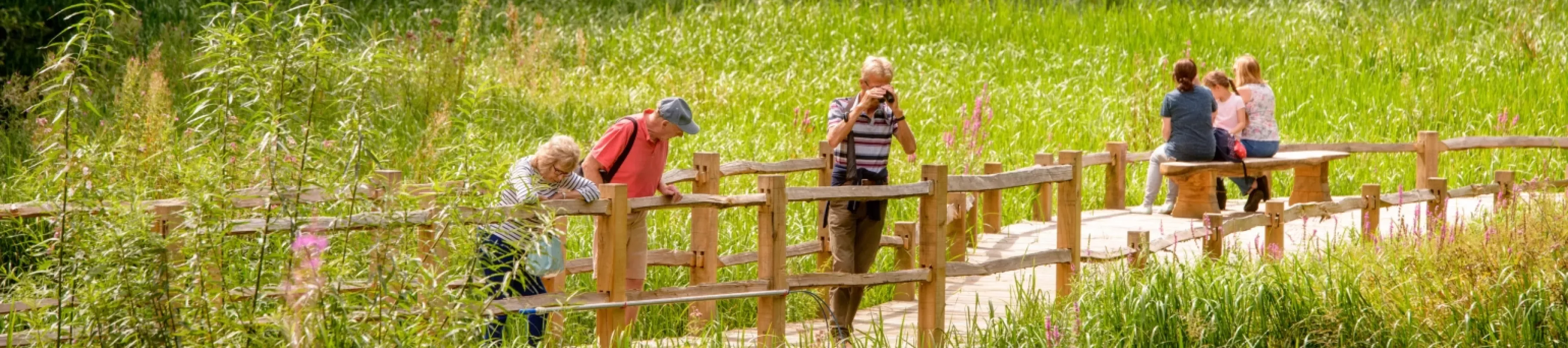 Man with binoculars on the Wetlands Boardwalks