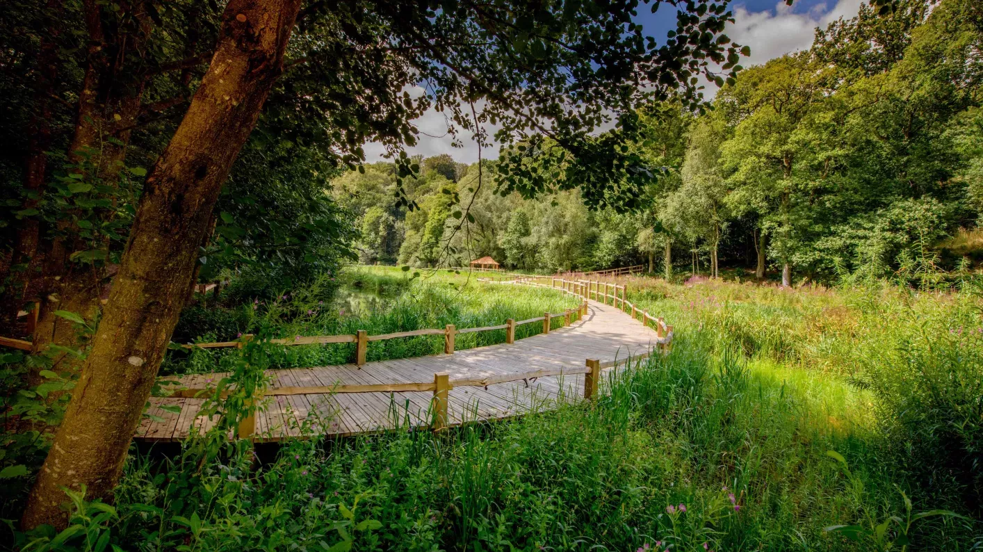 View of the Wetlands Boardwalks 