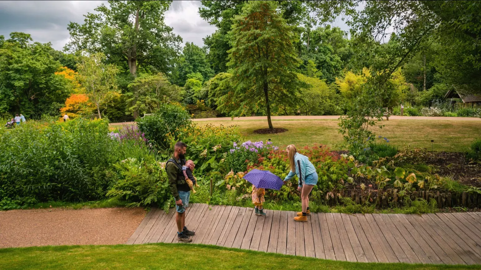 A family on a wooden walkway next to a colourful bog garden