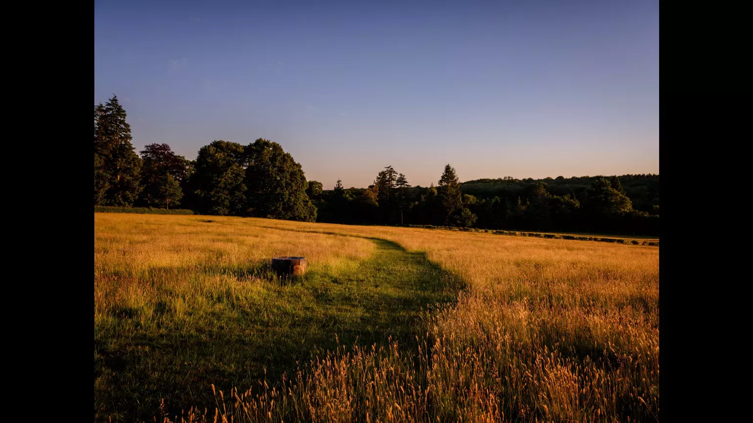 Coronation Meadow at Wakehurst at Sunset, © Jim Holden, RBG Kew