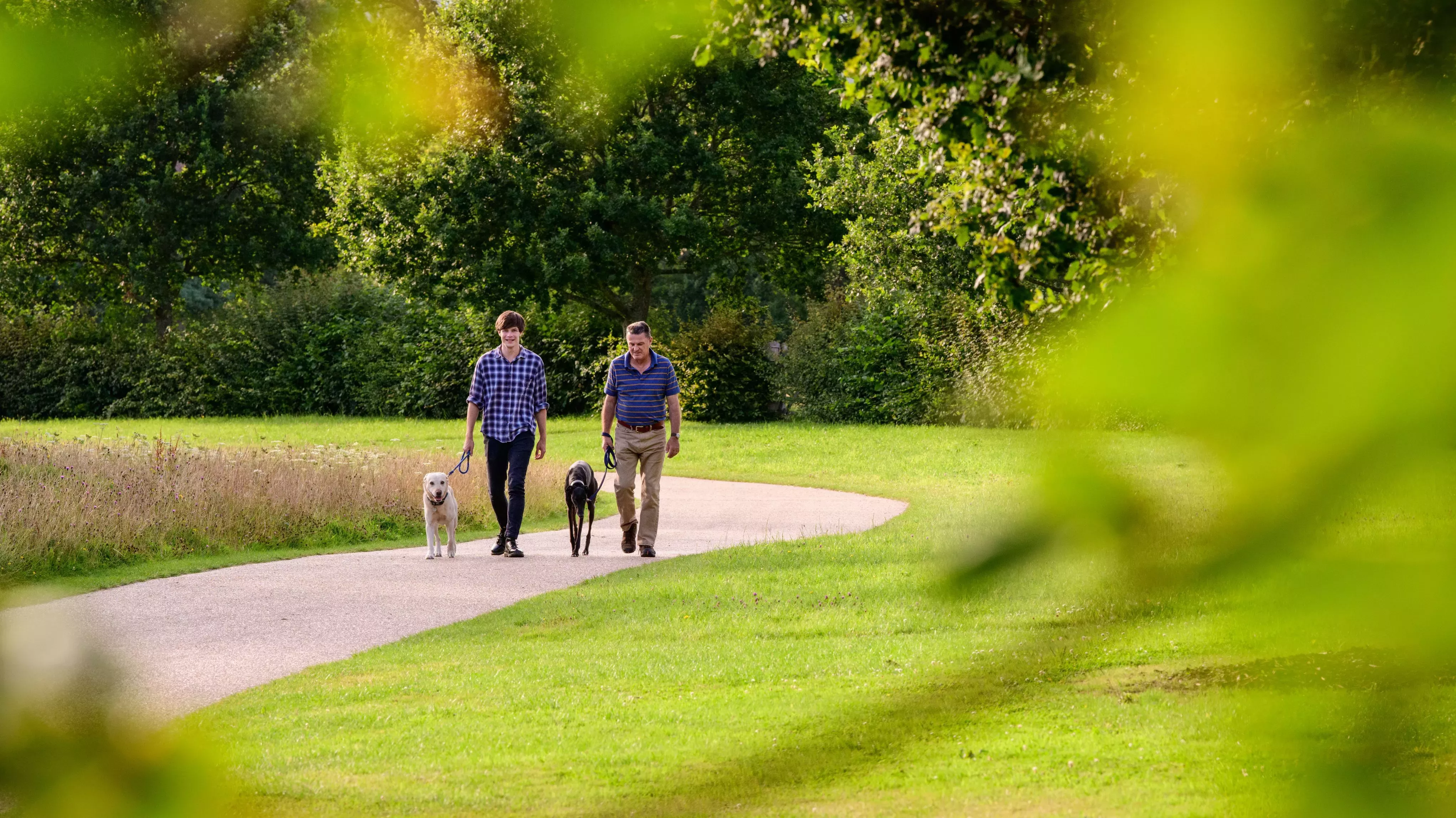 Dogs being walked by two men at Wakehurst