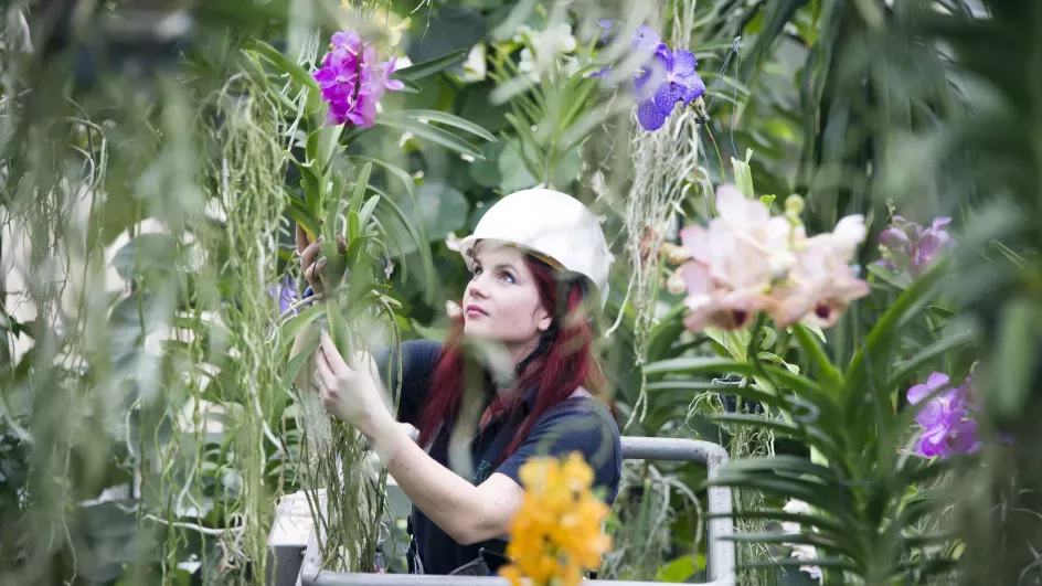 Elisa Biondi in Princess of Wales Conservatory 