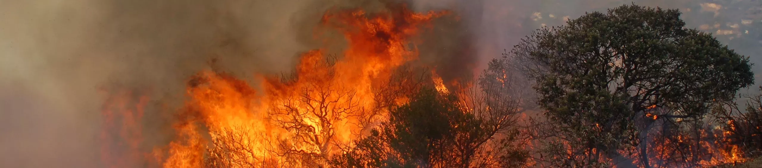 Fire on Signal Hill in Table Mountain National Park