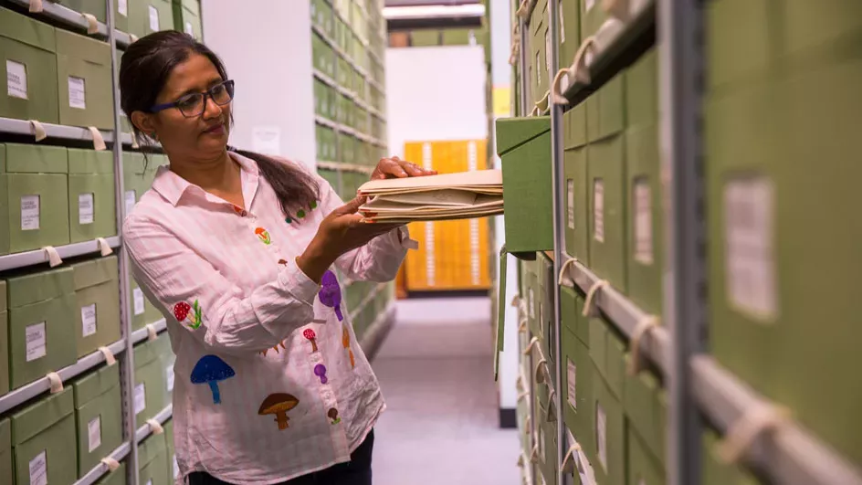 A researcher pulling a specimen out of green box