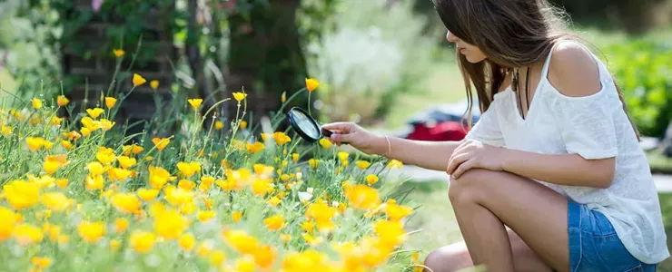 Students examines plants