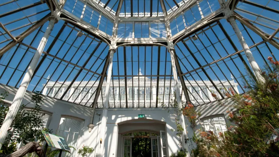 Temperate House