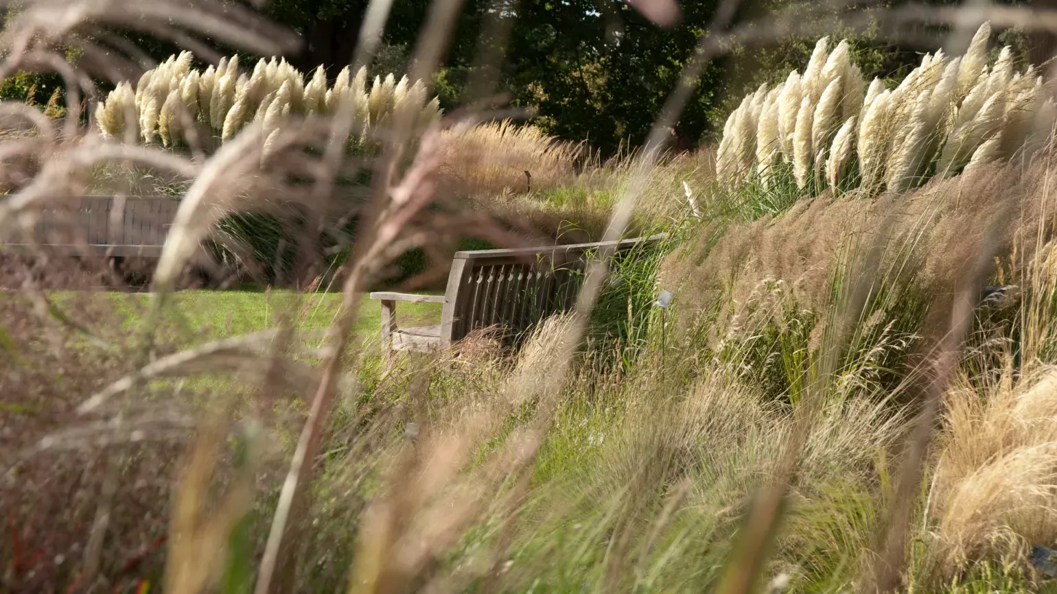 A bench in the Grass Garden at Kew 