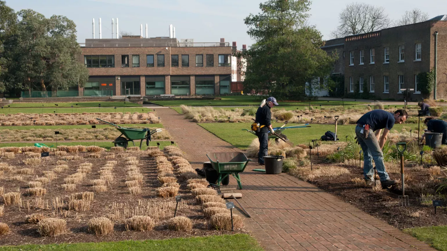 The Grass Garden after its annual trim 