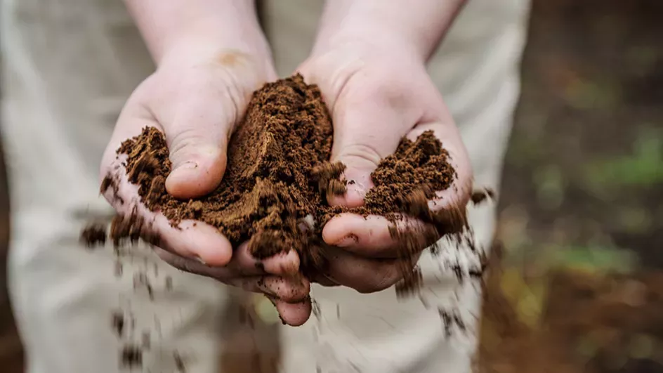 Hands in soil