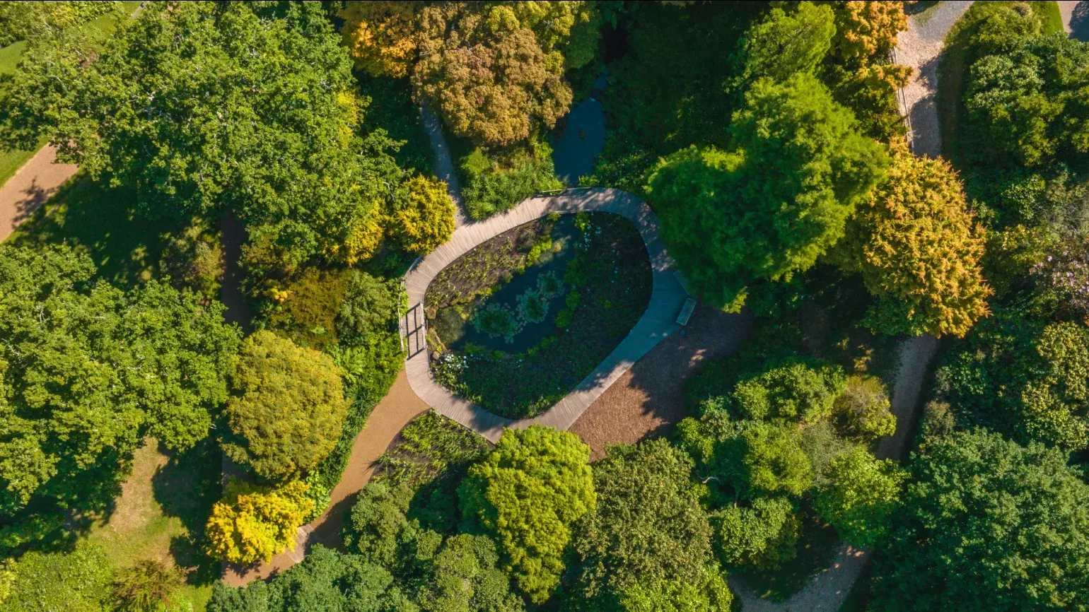 An aerial shot of trees, walkways and water at the Iris Dell at Wakehurst