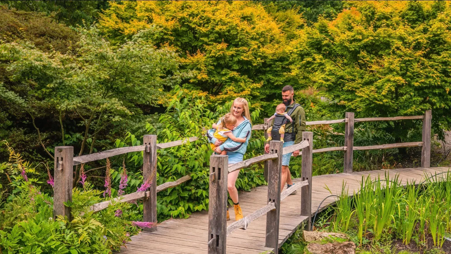 A family walk along a wooden walkway in a colourful Iris Dell