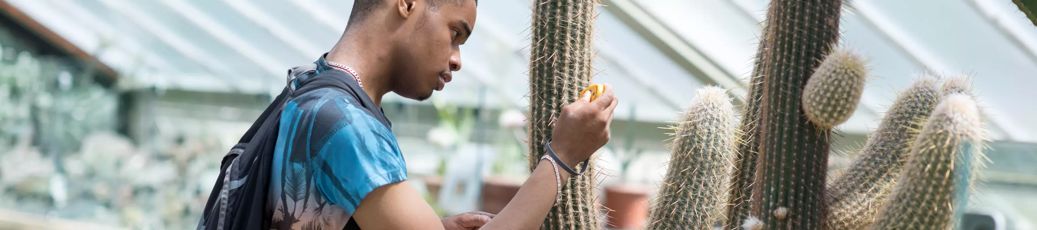 Student looking at the moisture levels of a cactus