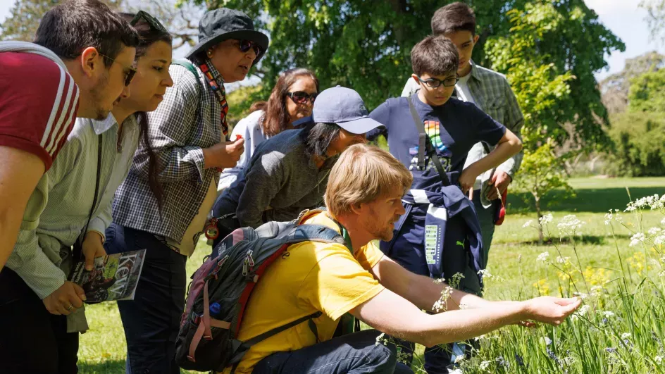 Young people gathered around a Kew scientist inspecting plants and pollinators