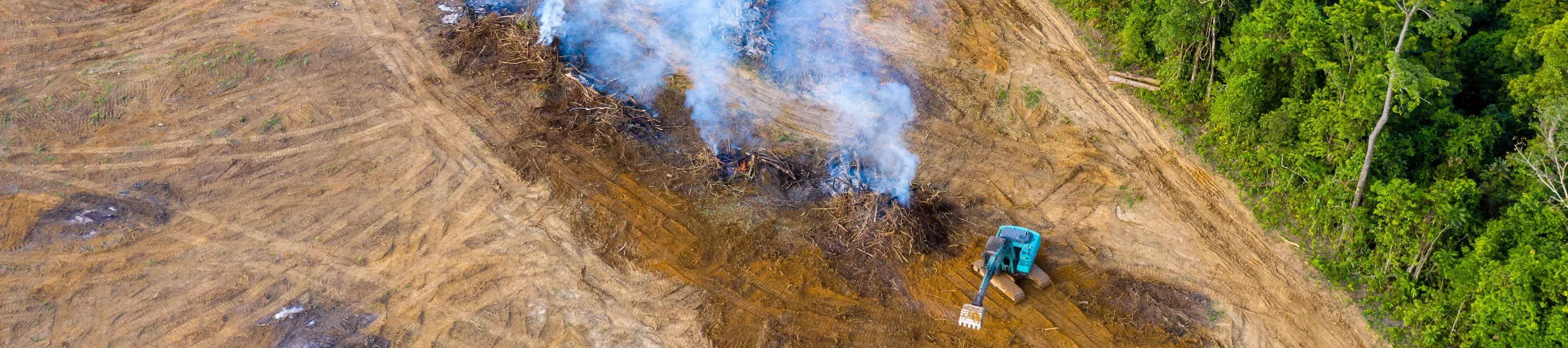 Deforested land with smoke and a small digger with a small area of green forest