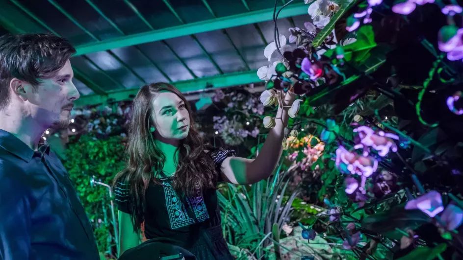 A young woman touches the orchids on display whilst her male friend looks on