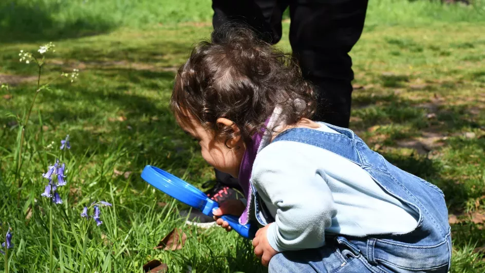 Little Explorers activity 