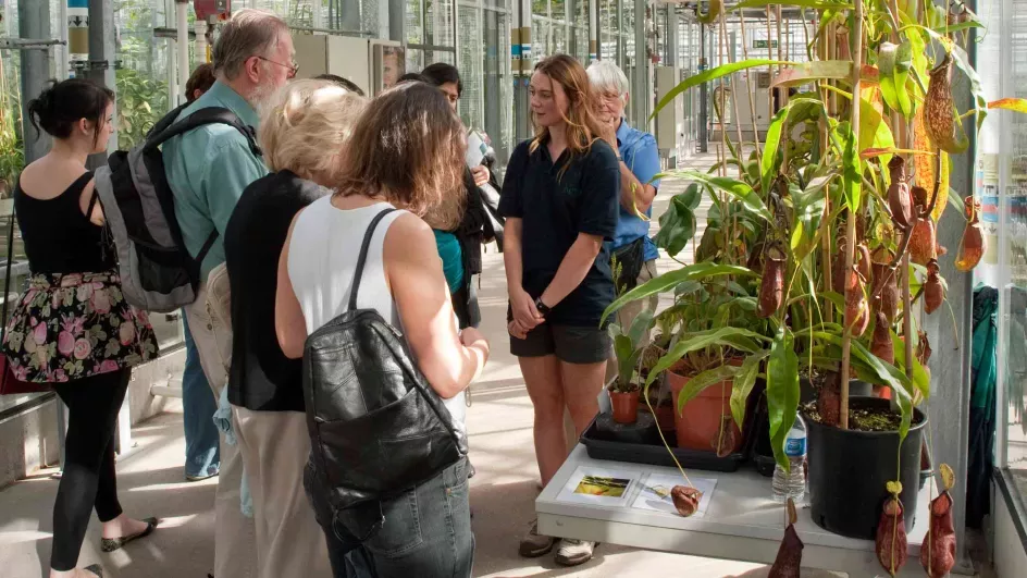 A tour of the nursery