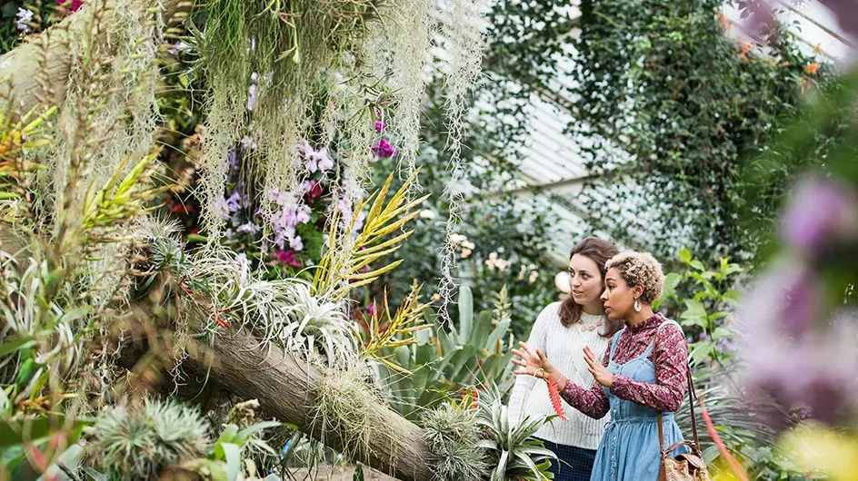 Friends studying plants