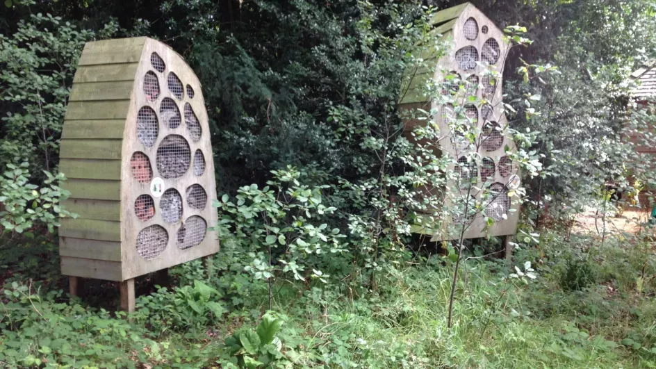 The Bug Hotel in the Natural Area