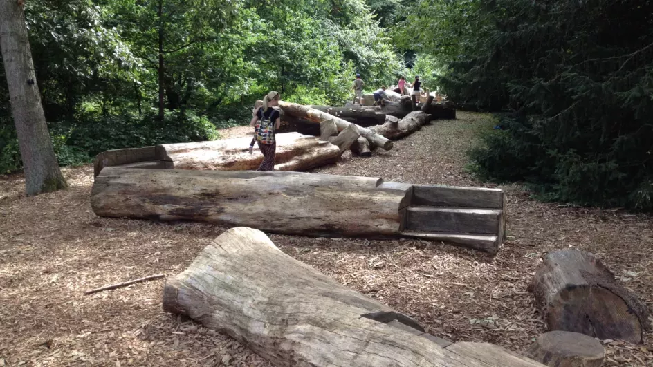 A log trail for kids to play on in the Natural Area 