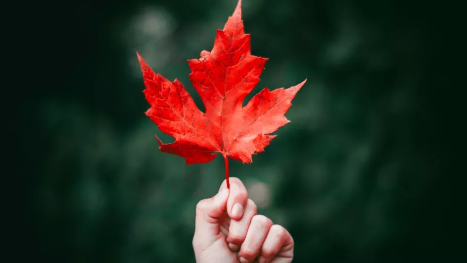 Holding a leaf in autumn