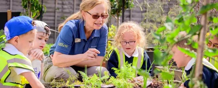 Pupils on a Wakehurst school visit