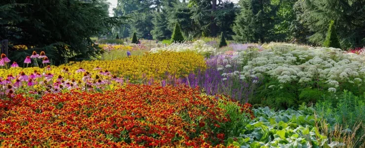 Late summer in the Great Board Walk Borders at Kew