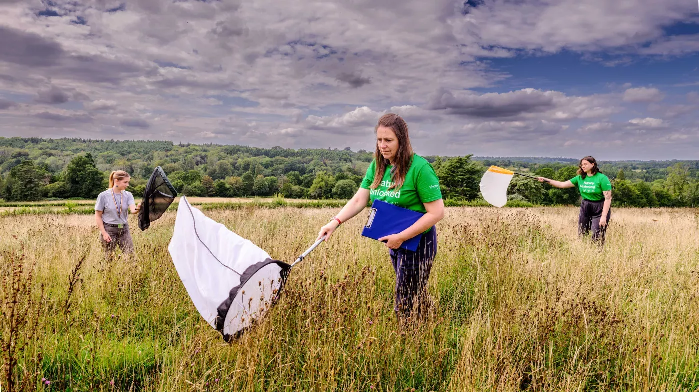 Three scientists stand in a field waving nets to catch pollinators