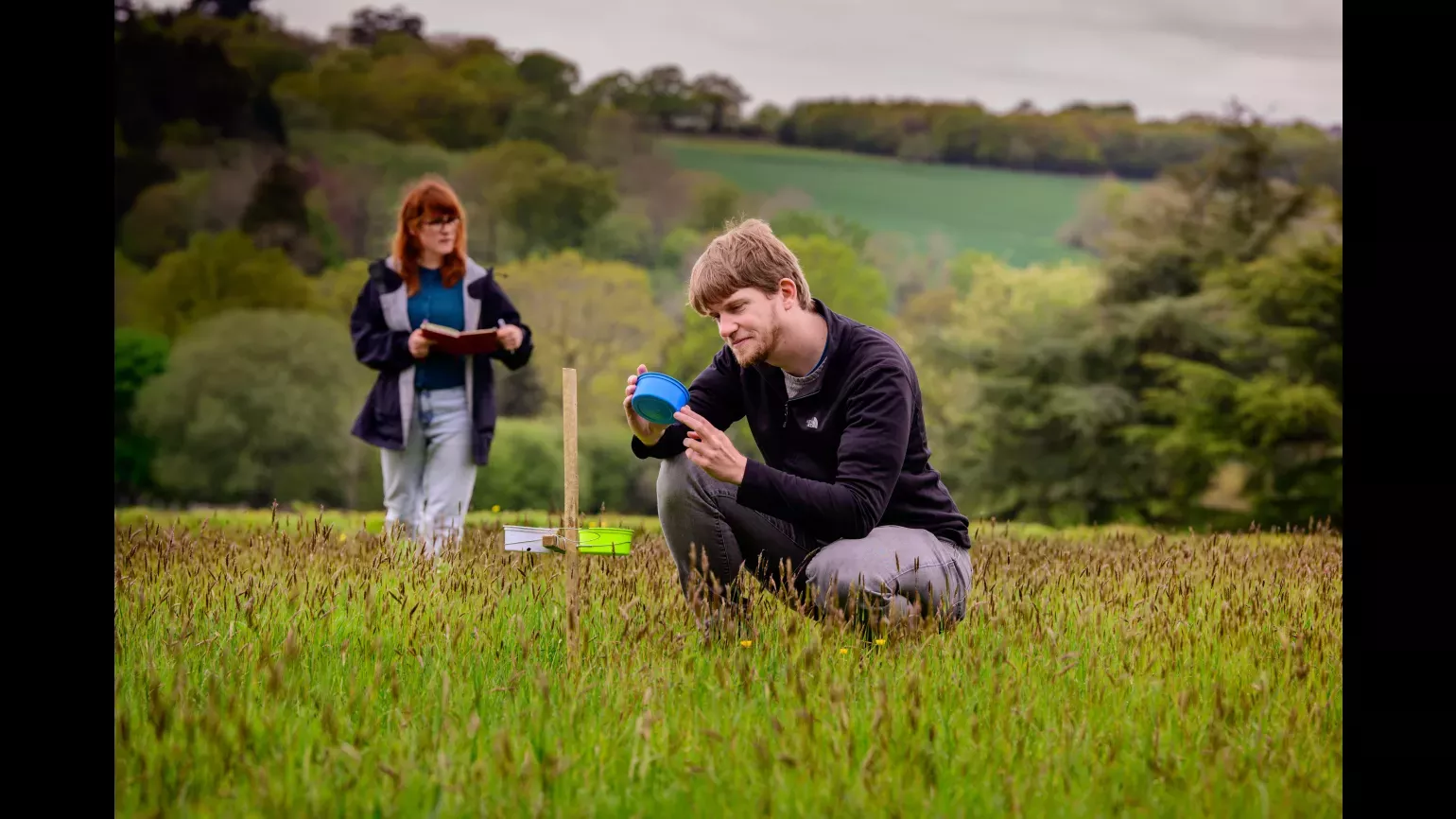 Two researchers kneeling down in a field inspecting plants and pollinators