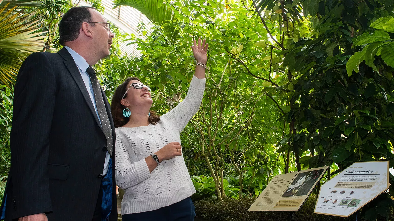 Researcher and corporate partner looking at plants