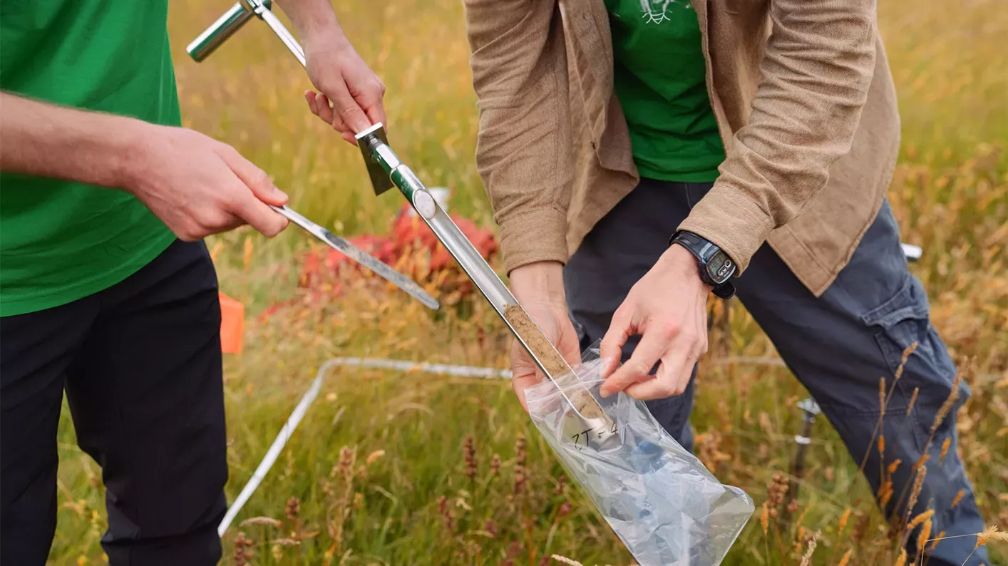 Two scientists put the soil from a soil corer into a plastic bag.