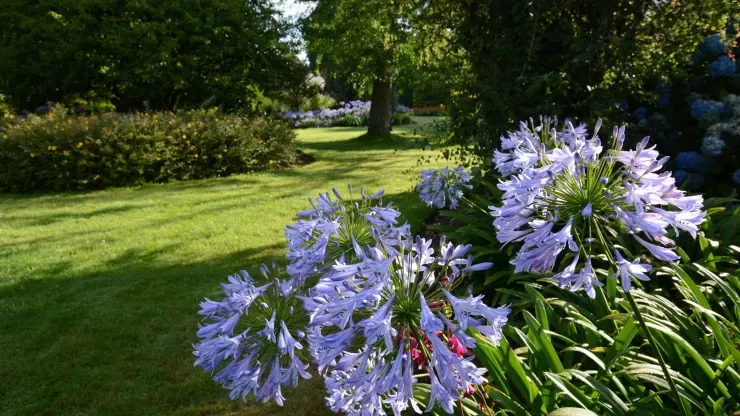 Another view of the Southern Hemisphere Garden at Wakehurst 