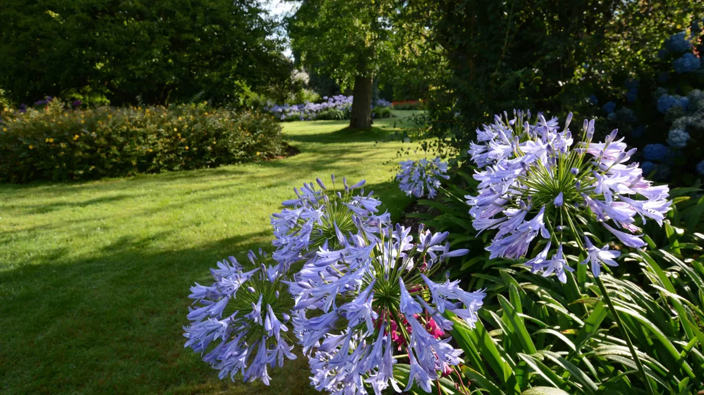 Another view of the Southern Hemisphere Garden at Wakehurst 