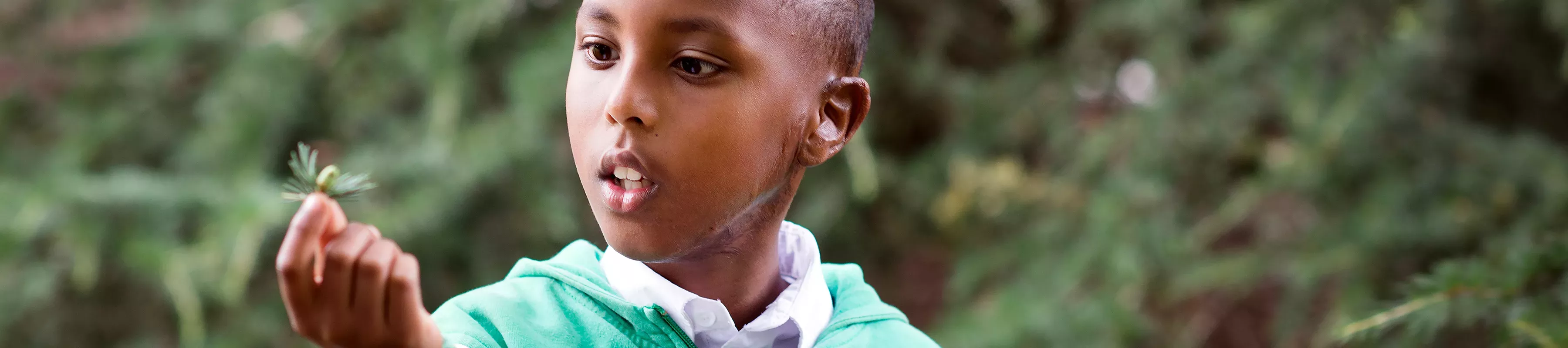 A boy examines a flower