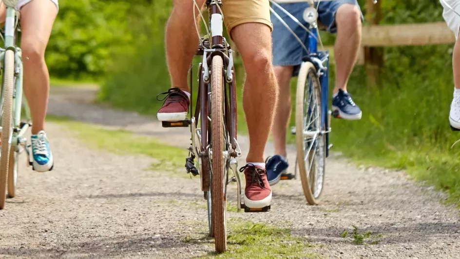 Cyclists on a woodland path