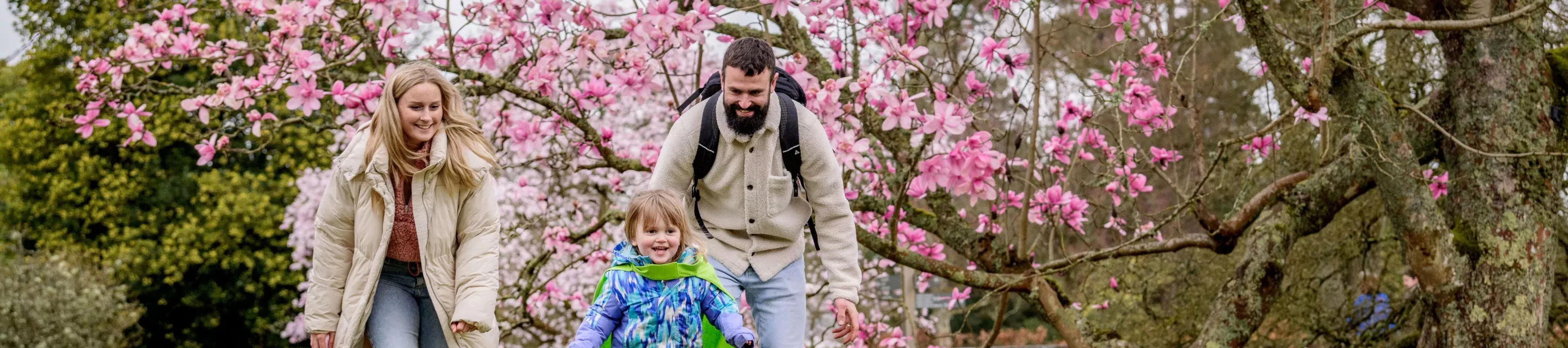 A family outdoors in front of a pink magnolia tree in full bloom