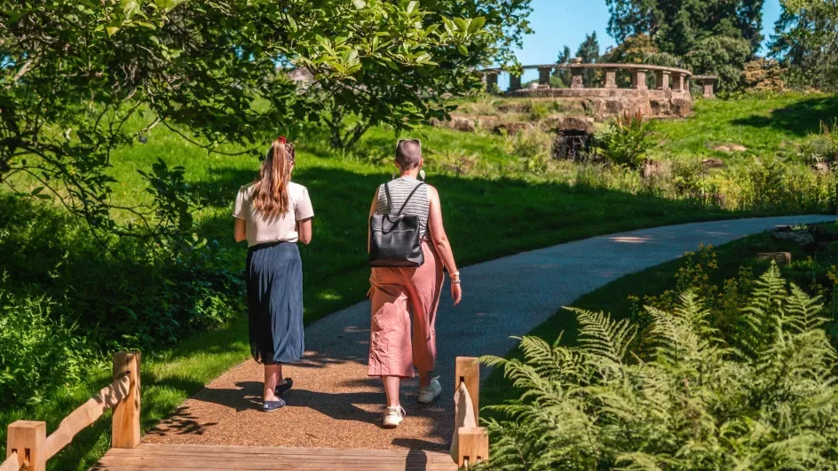 A pair of people walk along a path surrounded by trees