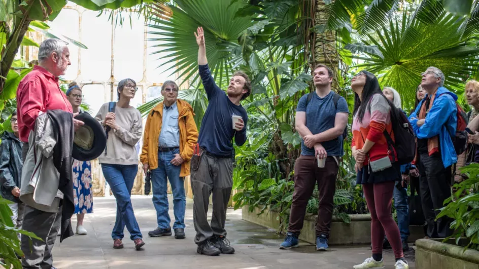 Tour group in a glasshouse, looking on as a guide gestures to a huge hanging palm leaf