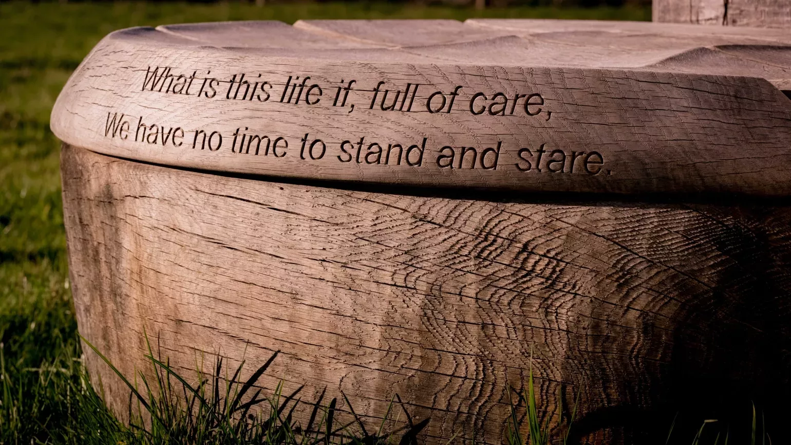 Carved seats by Alun Heslop in Coronation meadow 