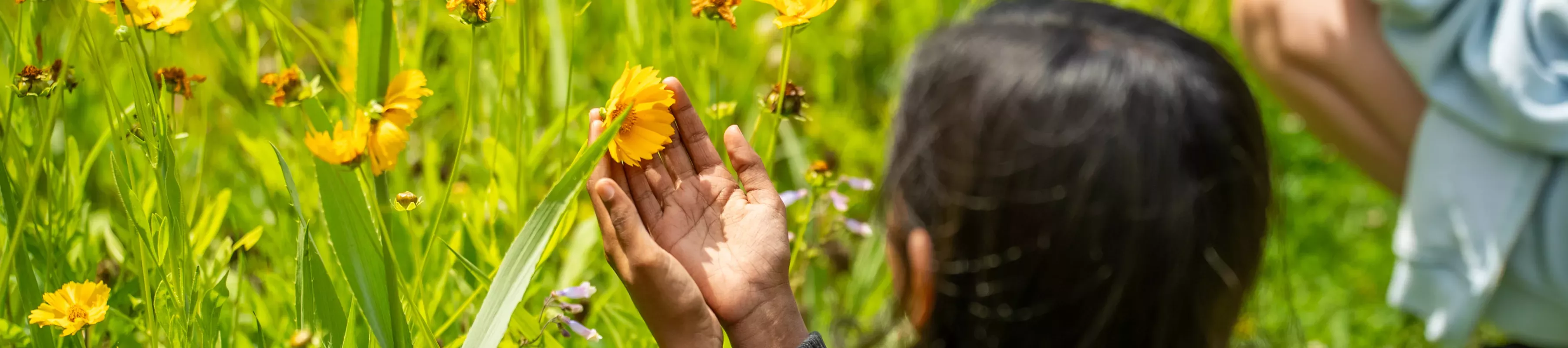 Young girl holds yellow flower in her hands