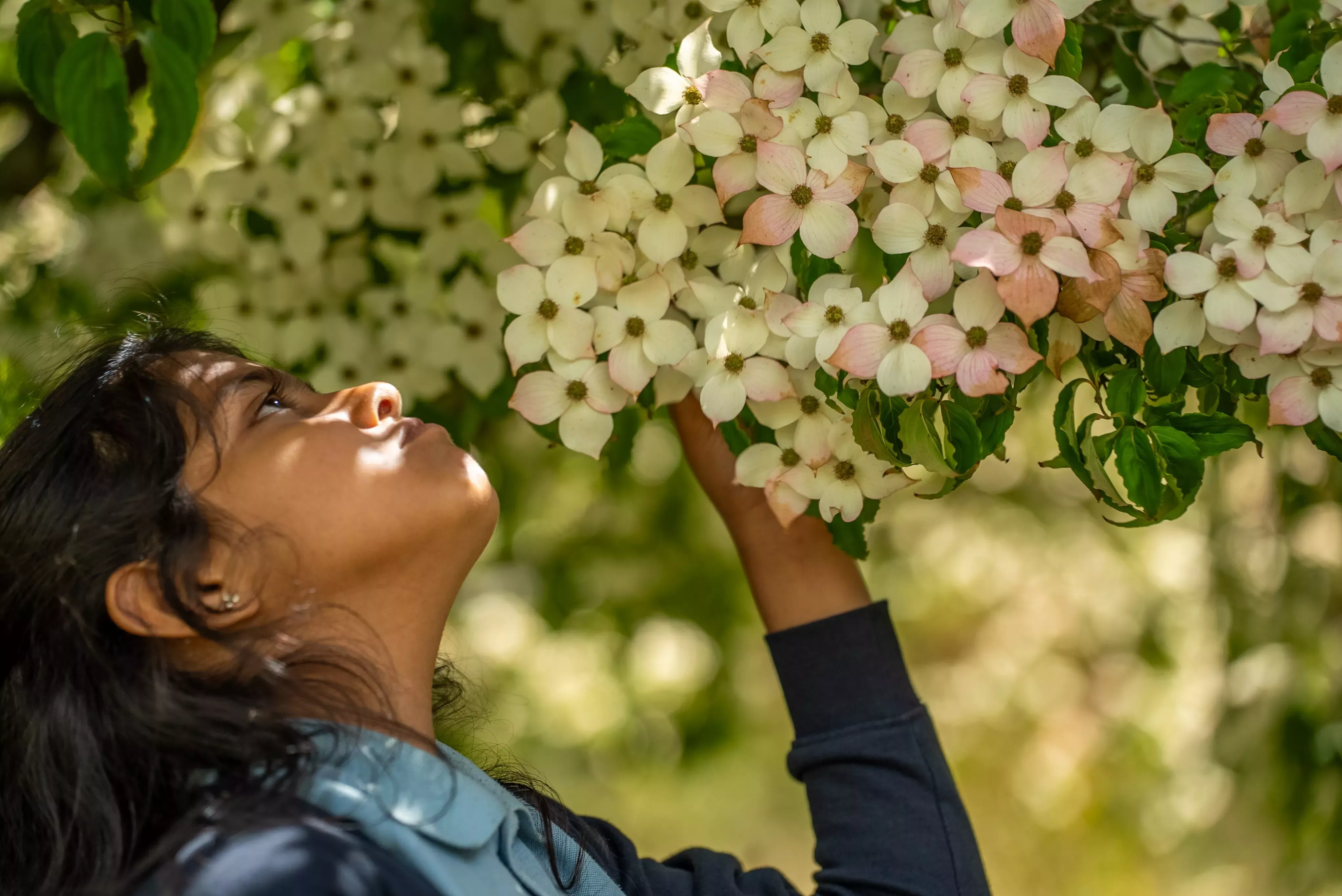 Young girl smelling tree blossom