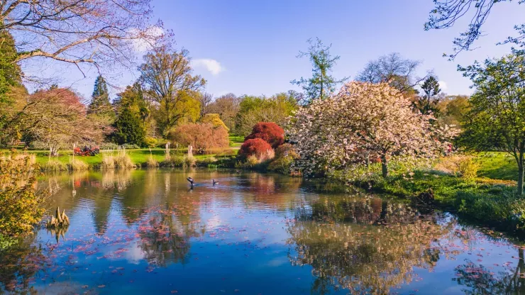 A reflective pond surrounded by colourful plants