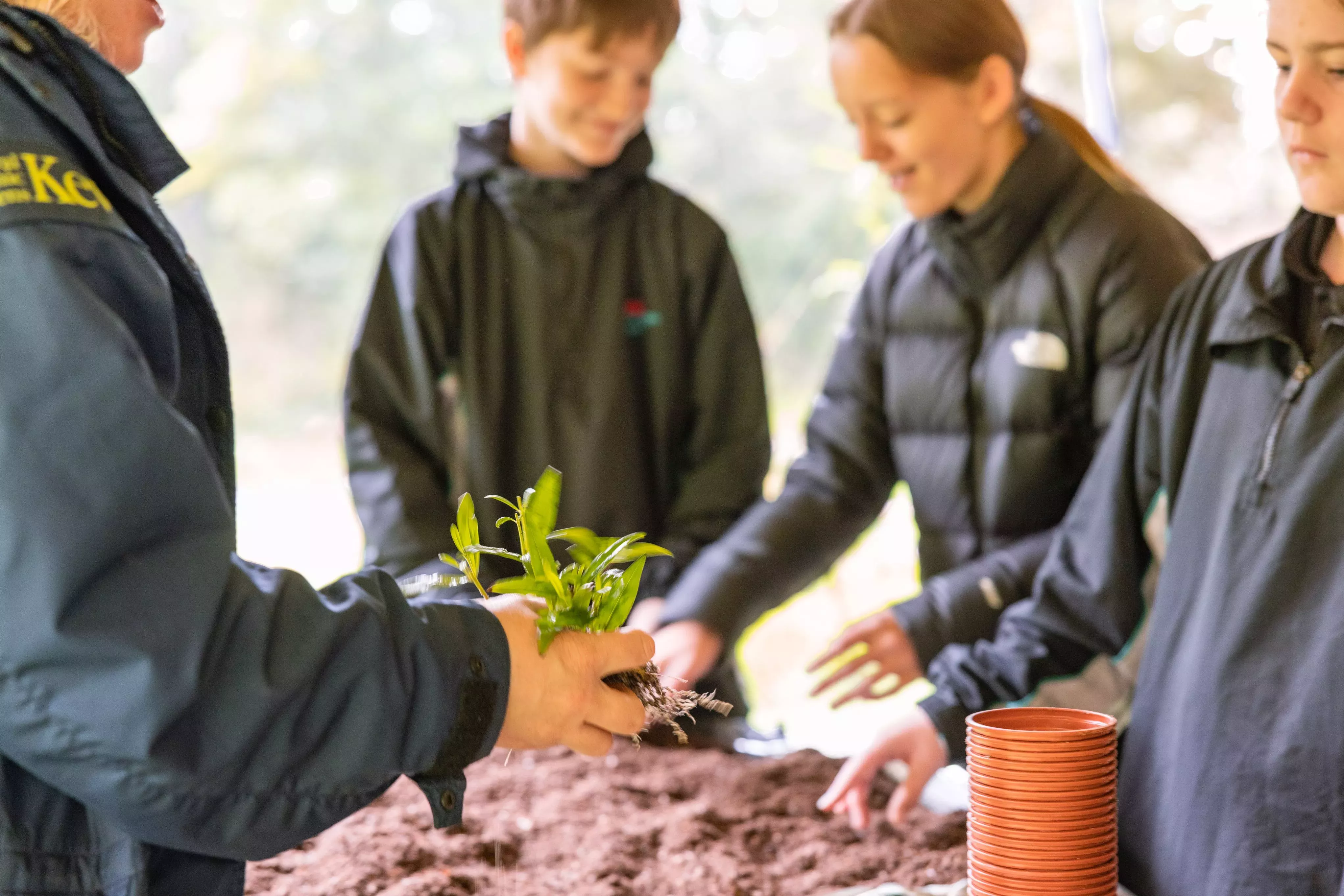 Group of teens planting seedlings