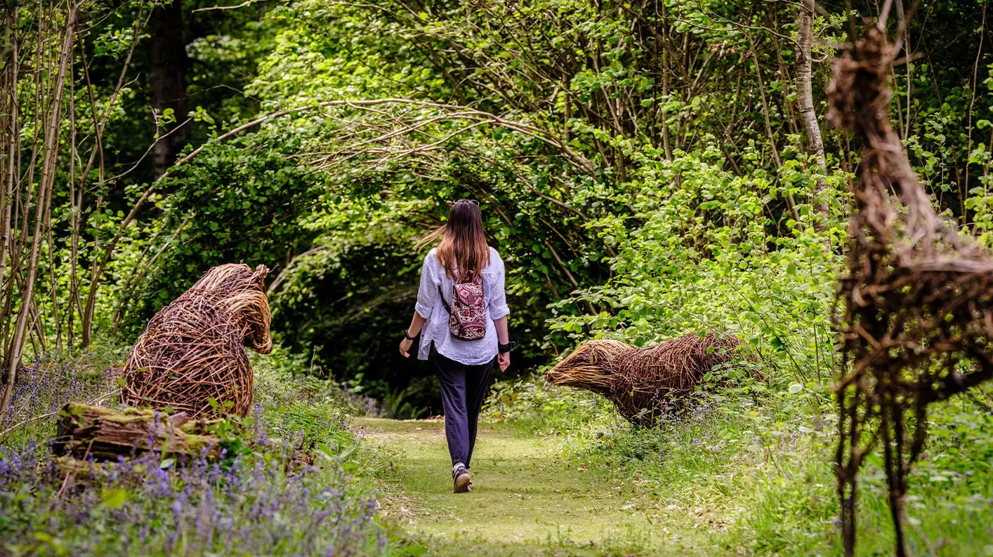 A woman walks past woven badger sculptures