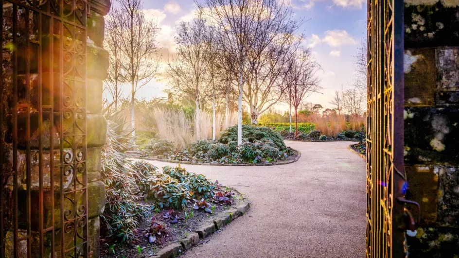 A view through a gateway to a garden in early evening light