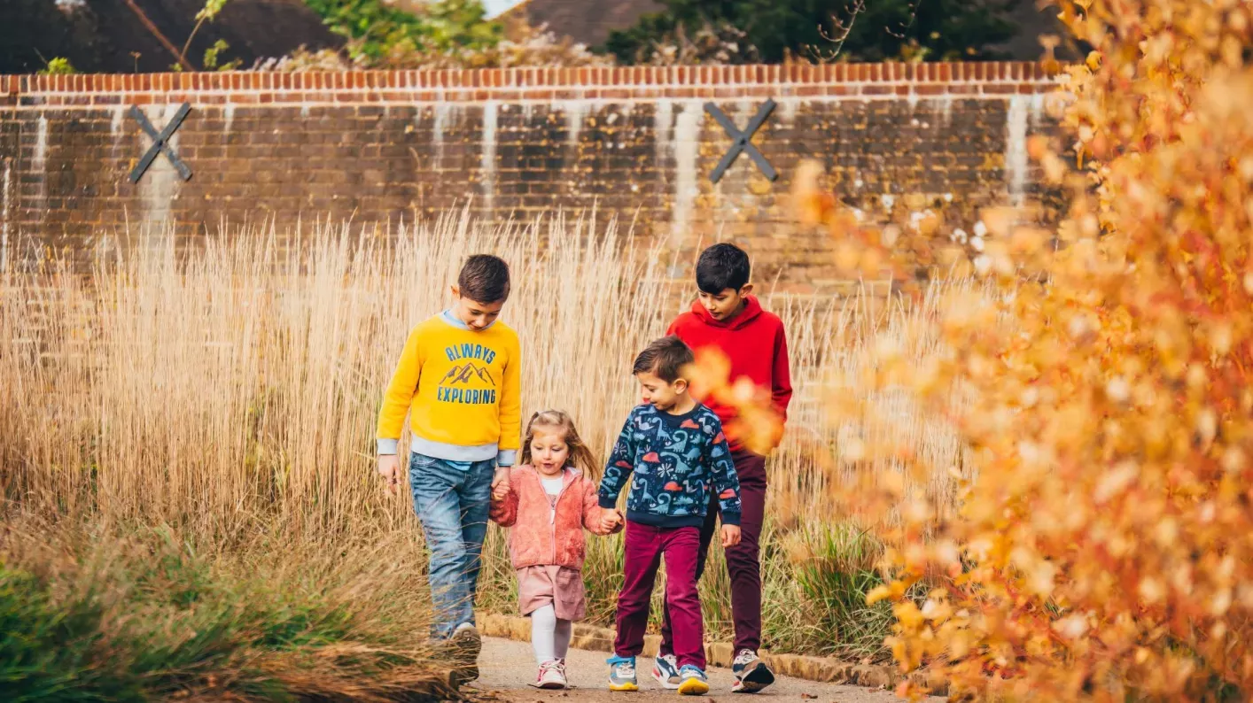 A group of 4 children walk through the Winter Garden at Wakehurst