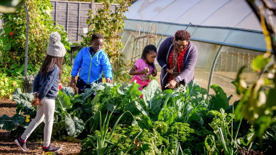 A group of people in a garden looking at plants